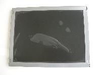 TM057KDH01-00 TIANMA 5,7 inch 320 (RGB) × 240 400cd / m² MÀN HÌNH LCD CÔNG NGHIỆP