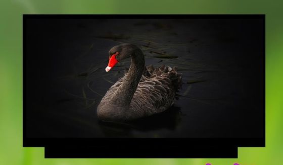 N133HCE-G63 Innolux 13,3 &quot;1920 (RGB) × 1080 300 cd / m² MÀN HÌNH LCD CÔNG NGHIỆP
