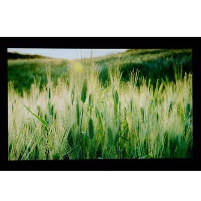 10.1 &quot;LCM 1024 × 600RGB 350cd / m² LQ101W3LG01 Màn hình LCD TFT sắc nét