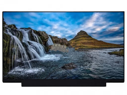NT173WDM-N25 BOE 17.3&quot; 1600 ((RGB) × 900, HD + 250 (cd/m2)