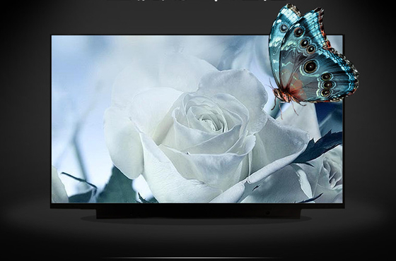 B133HAK02.2 AUO 13.3&quot; 1920 ((RGB) × 1080, 300 cd/m2