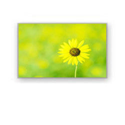 Màn hình LCD công nghiệp 4.0 &quot;320 × 240 4700cd / M2 HSD040I3N1-B00 HannStar